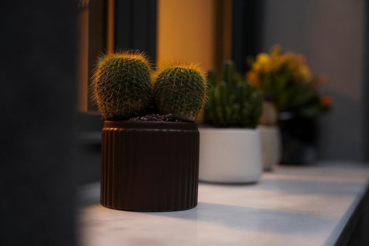 Quattro Luxury Apartments Tríkala Kültér fotó